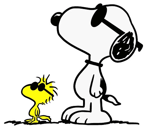 Snoopy and Woodstock in sunglasses